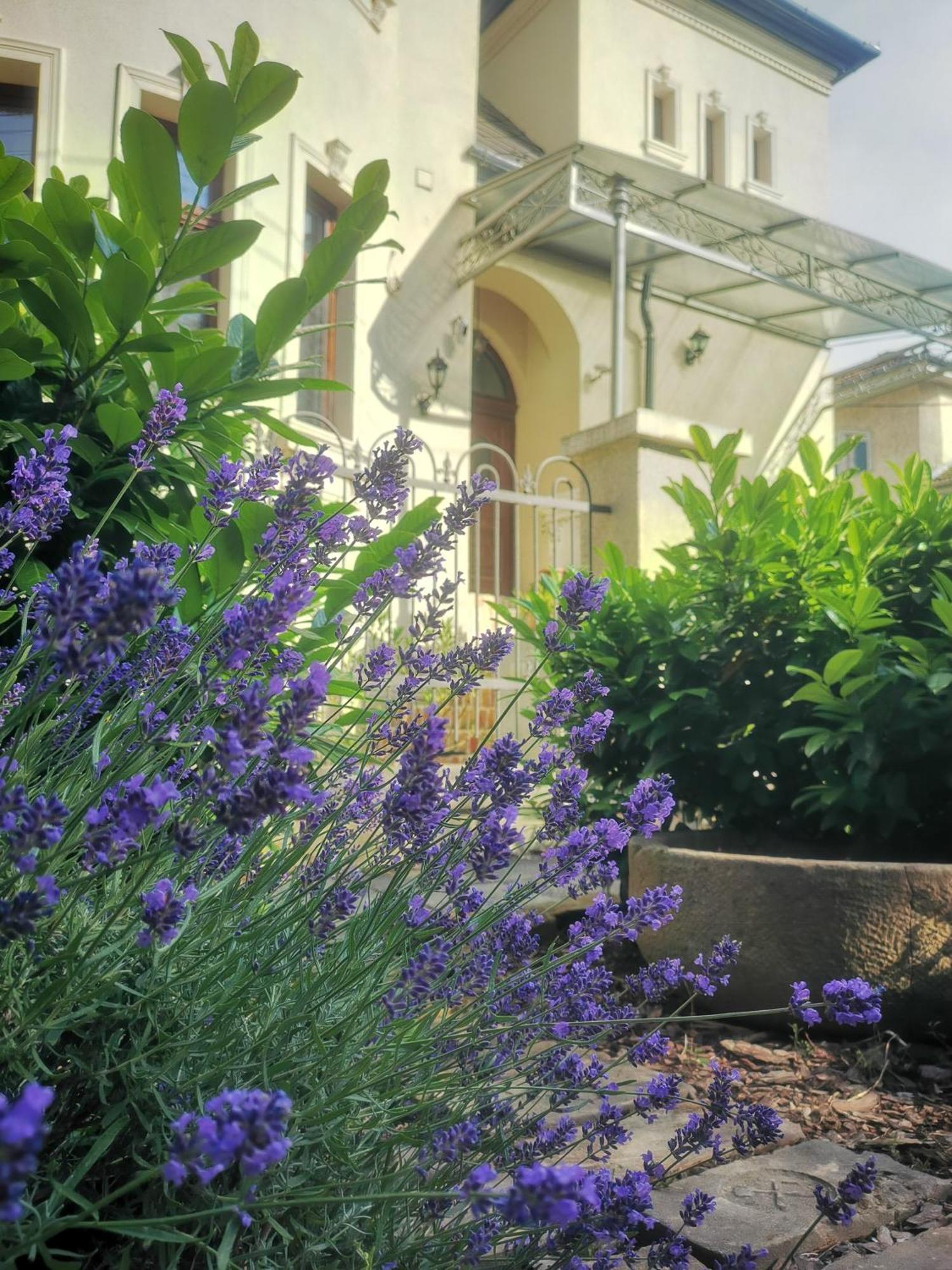 Kuria Apartman Budapest With Free Parking 외부 사진
