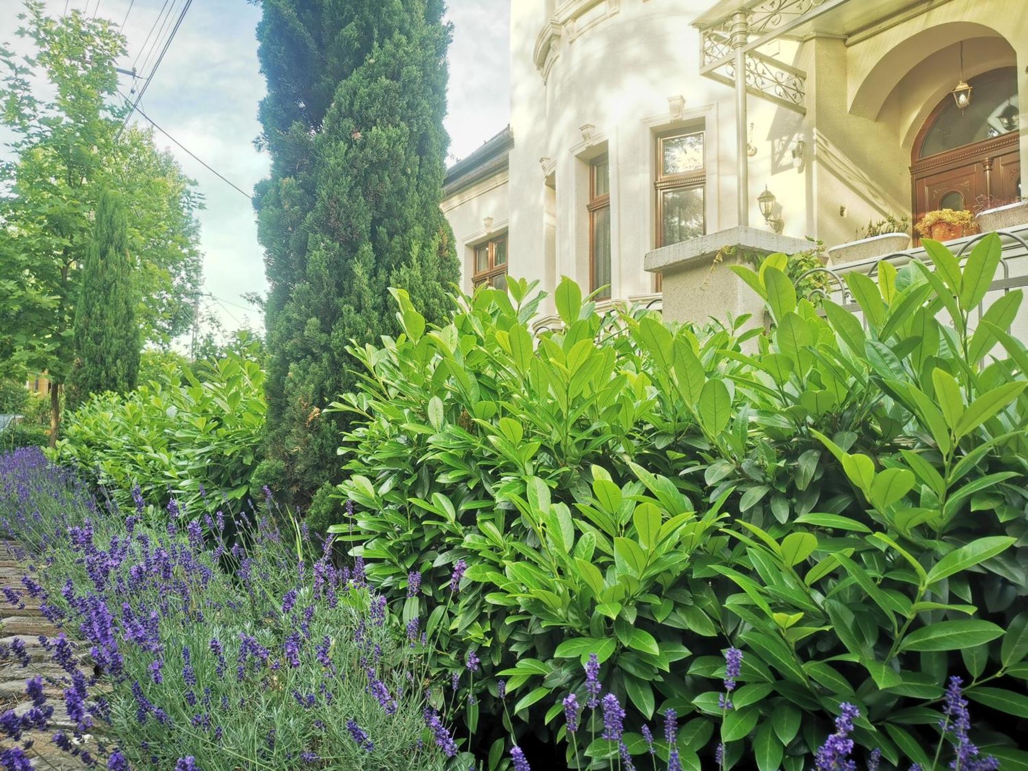 Kuria Apartman Budapest With Free Parking 외부 사진